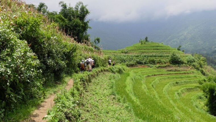 sapa-trekking-and-homestay-experince