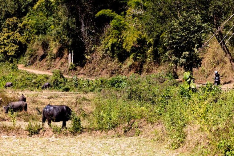 scooter-adventure-incl-elephants-cave