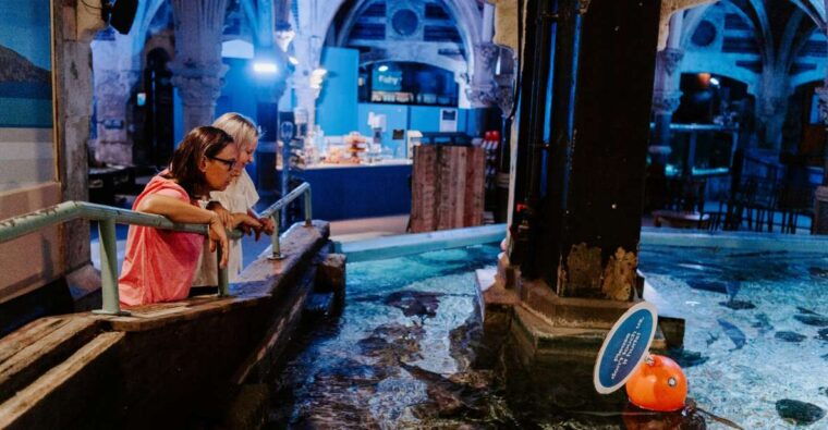 sea-life-brighton-admission-ticket-2