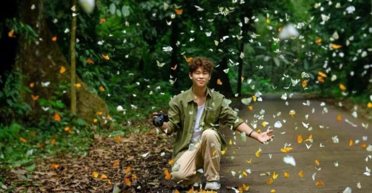 see-fireflies-wild-animals-in-cuc-phuong-national-park