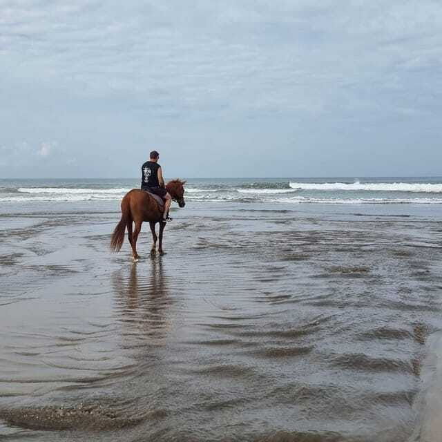 seminyak-beach-horse-riding-experience