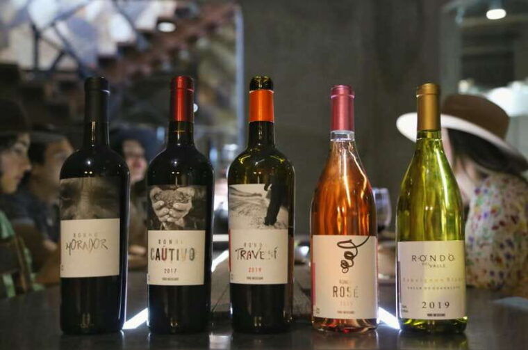 sensory-tasting