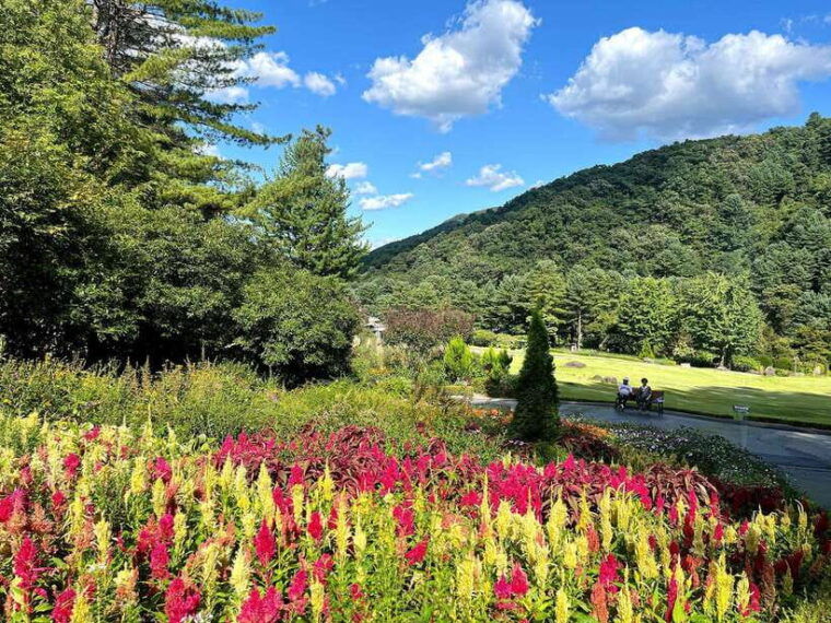seoul-alpaca-world-nami-island-railbike-garden-park