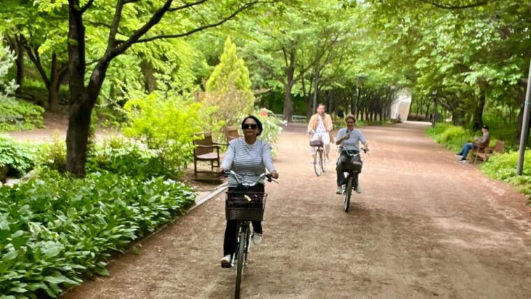 seoul-han-river-urban-nature-bike-tour