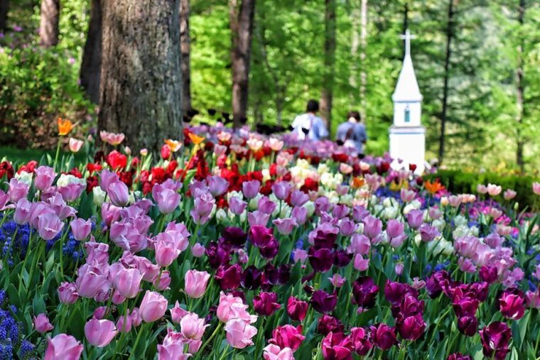 seoul-nami-and-petite-france-tour-with-optional-k-garden