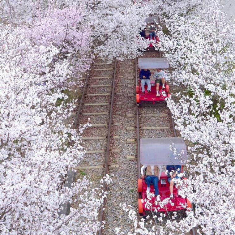 seoul-nami-island-garden-of-morning-calm-tour-rail-bike