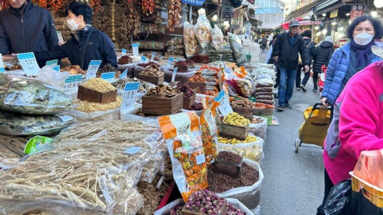 seoul-temple-vegan-cooking-class-oriental-medicine-tour