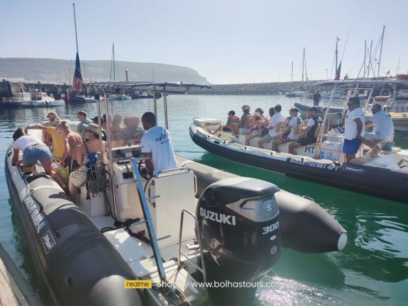 sesimbra-dolphin-watching-boat-tour-with-biologist-guide