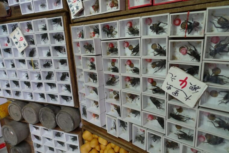 shanghai-3-hour-old-shanghai-city-tour