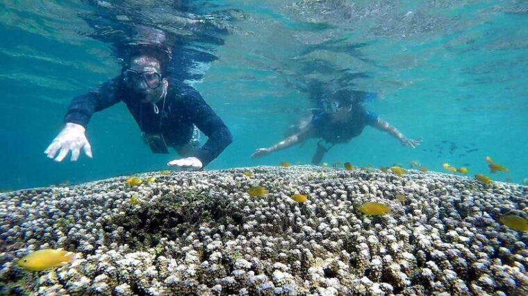 shared-tour-moalboal-snorkeling-adventure-canyoneering