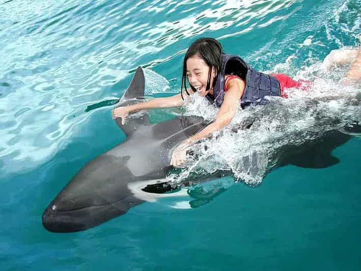 side-alanya-swimming-with-dolphins