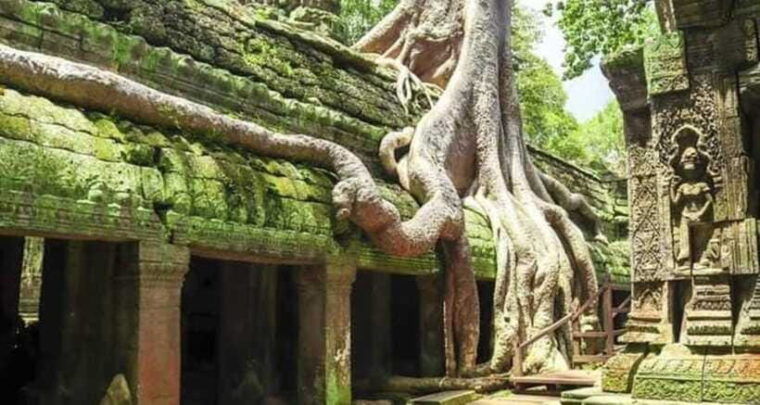 siem-reap-angkor-and-ta-prohn-ancient-temples-3-day-tour