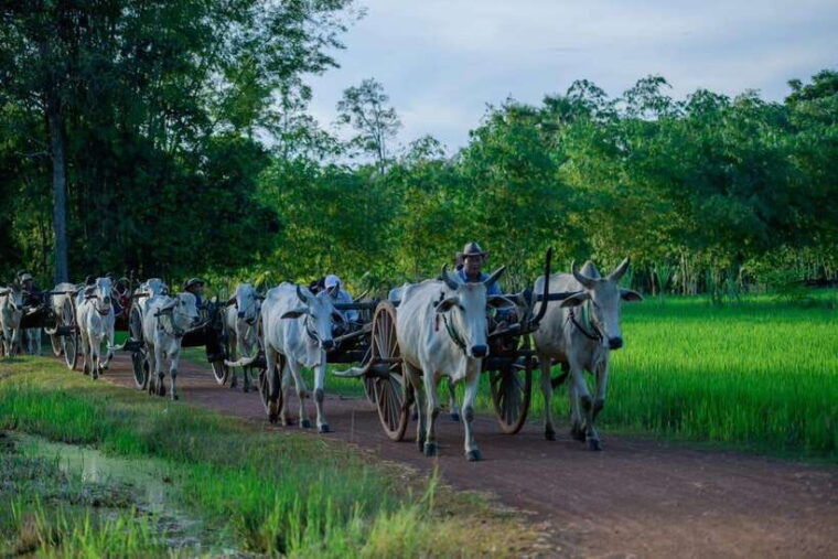 siem-reap-hands-on-cambodia-cooking-class-and-market-tour