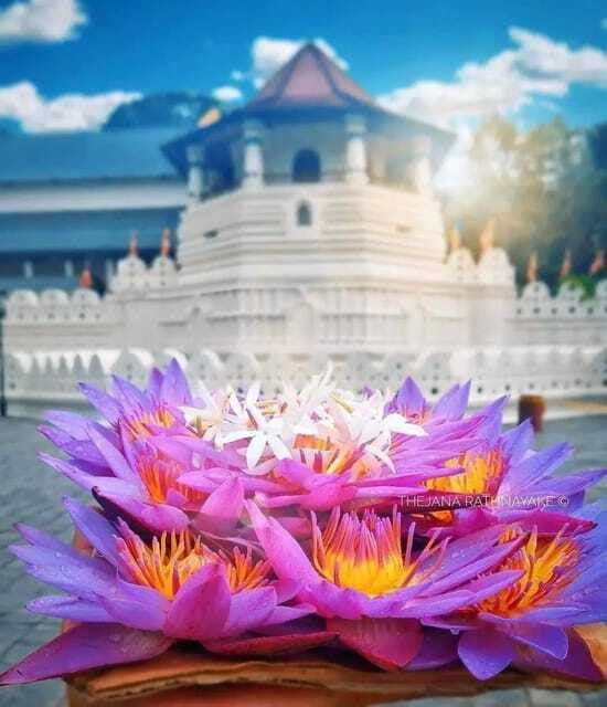 sigiriya-private-kandy-transfer-visit-dambulla-cave-temple