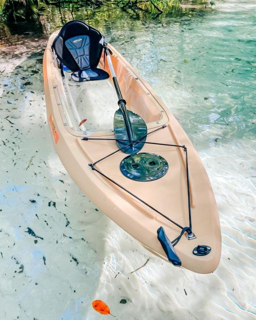 silver-springs-glass-bottom-kayak-and-wildlife-tour