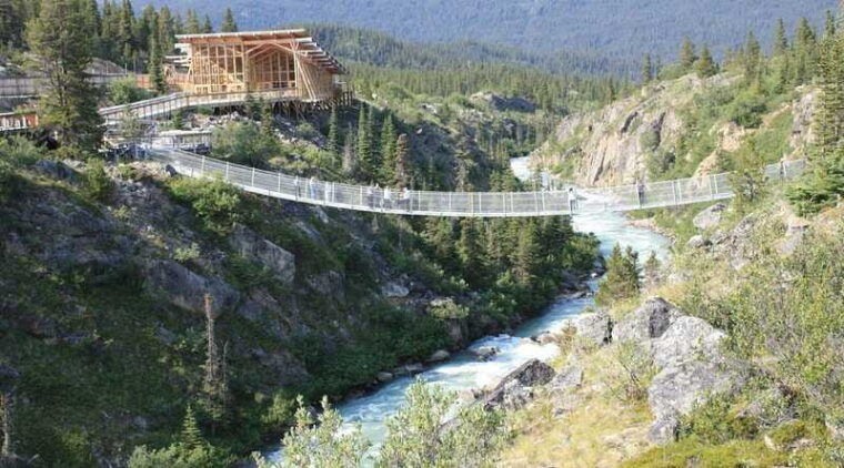 skagway-yukon-suspension-bridge-summit-tour-2