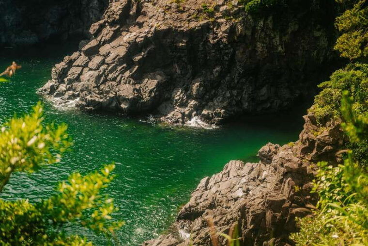 southern-jeju-healing-unesco-small-group-day-tour