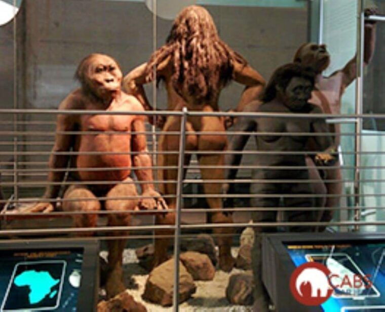 soweto-cradle-of-mankind-lions-park-lesedi-cultural-vill