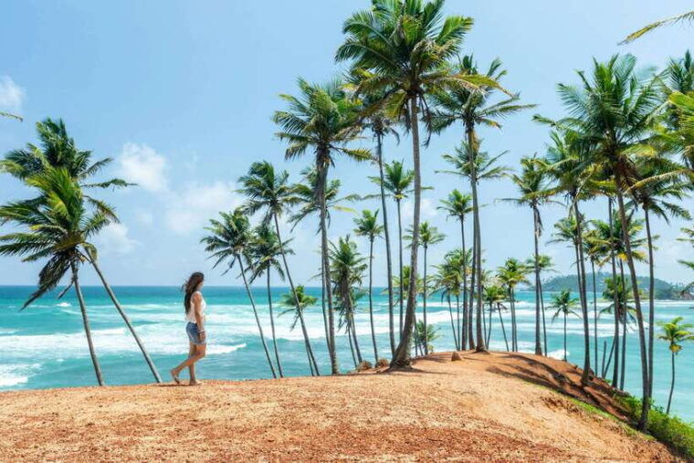 sri-lanka-11-day-private-tour-guide-car-hotels-meals