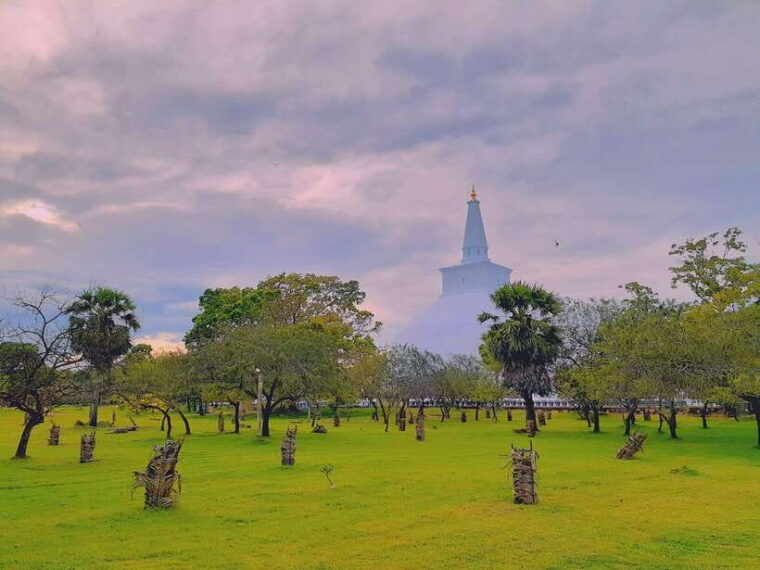 sri-lanka-3-day-top-temple-tour-to-the-cultural-triangle