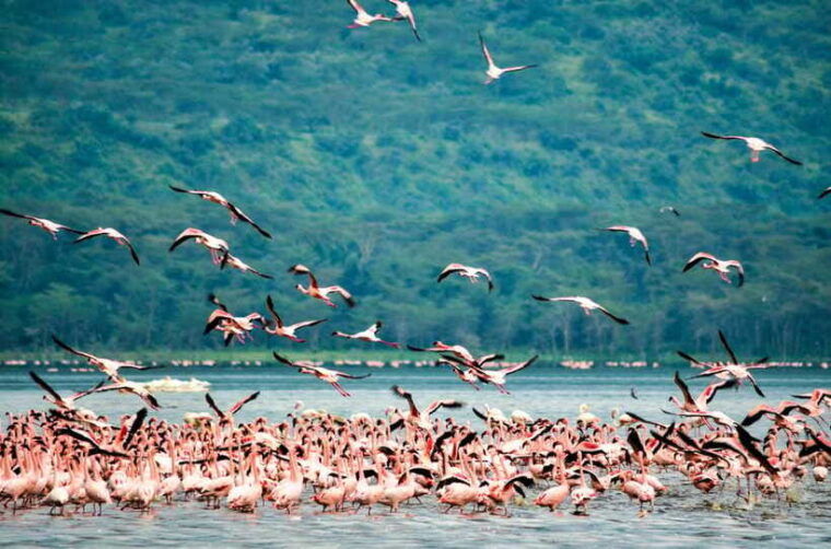 sri-lanka-5-day-private-country-side-tour-car-hotels-food