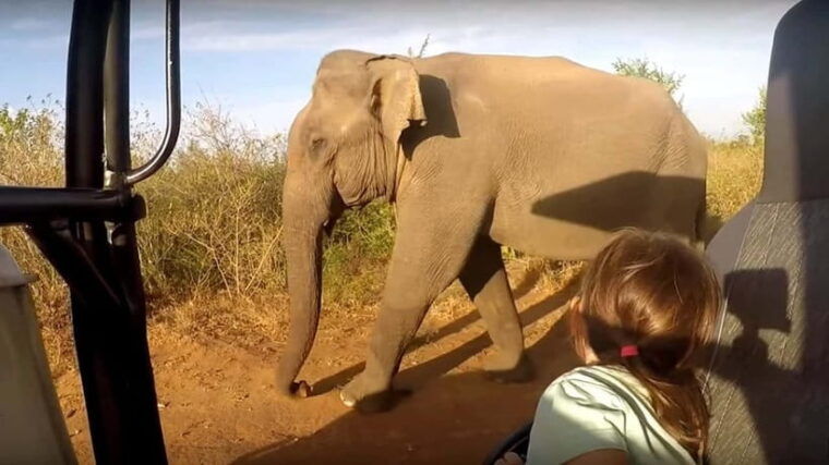 sri-lanka-5-day-private-guided-tour
