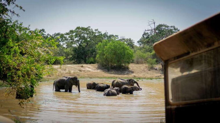 sri-lanka-6-day-tour-beach-stay-wildlife-history-culture