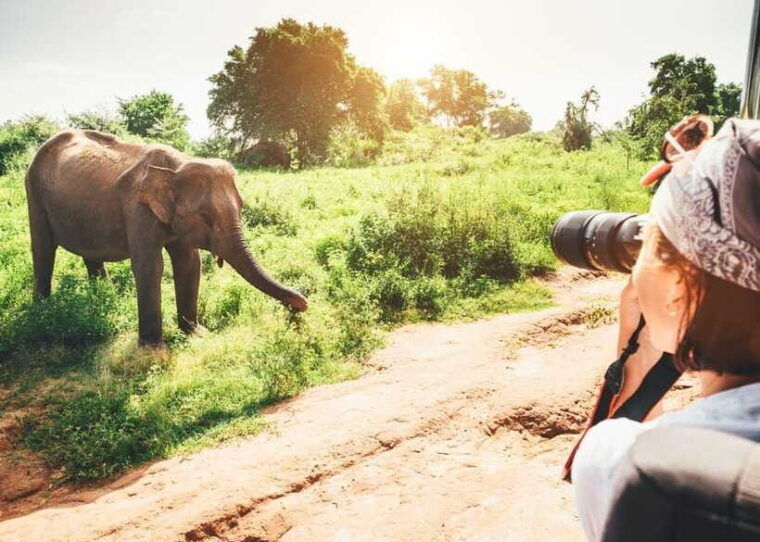 sri-lanka-compact-highlight-5-day-tour-sigiriya-kandy-ella