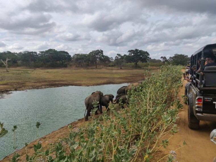 sri-lanka-yala-national-park-private-safari