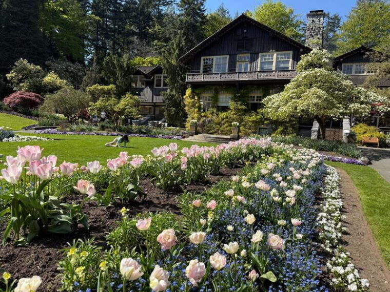 stanley-park-car-tour-comfortcheaper-than-bike-rental-tour