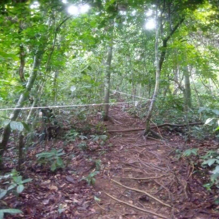 sumatra-3-day-unique-jungle-experience-exploring-wildlife