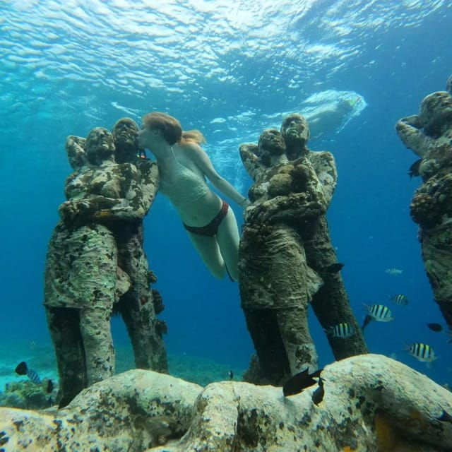 sunset-shared-snorkeling-trip