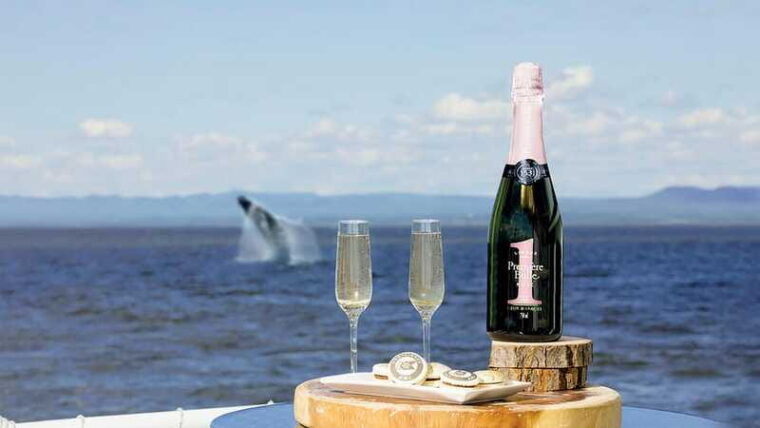 tadoussac-charlevoix-vip-lounge-upper-deck-whale-watching