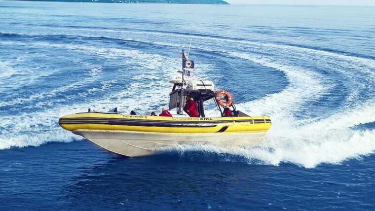tadoussac-charlevoix-whale-watching-zodiac-tour