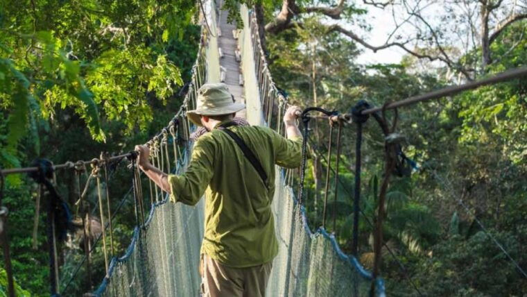 tambopata-zipline-adventure-kayak-to-monkey-island