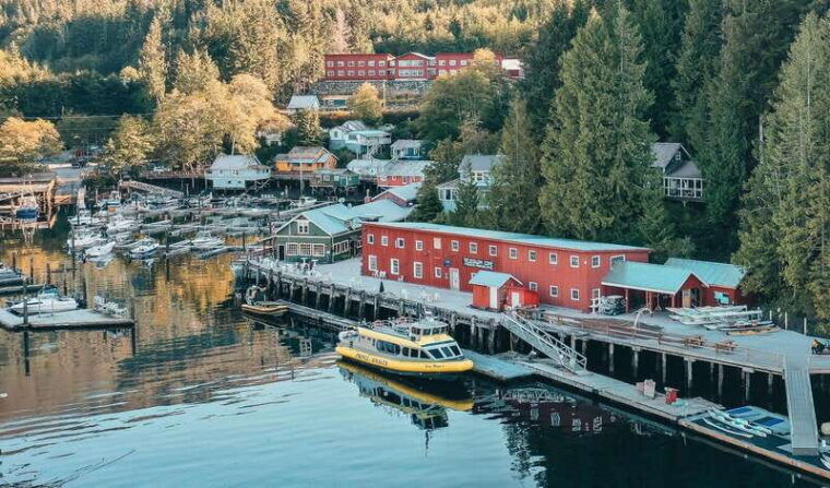 telegraph-cove-2-hour-evening-kayak-tour