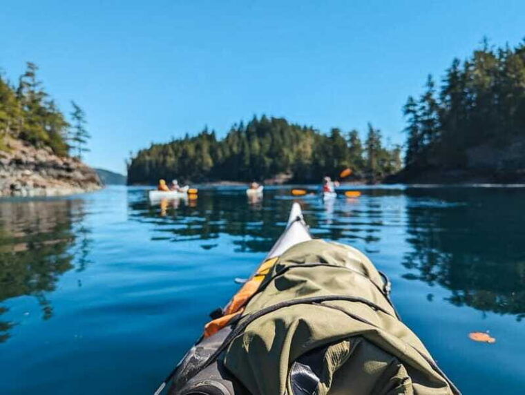 telegraph-cove-half-day-kayaking-tour