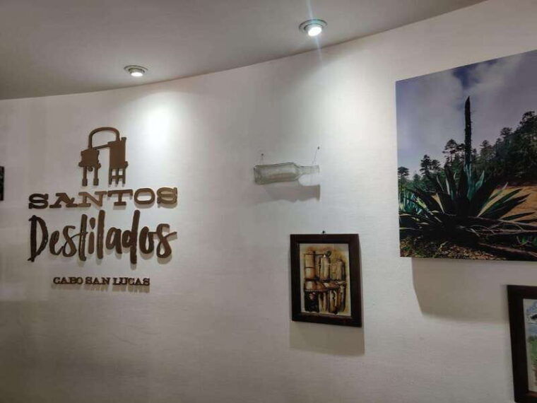 tequila-mezcal-tasting-experience