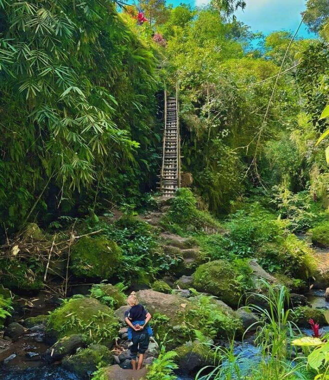 tetebatu-walk-on-rice-terrace-waterfall-and-black-mongky