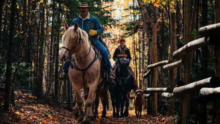 the-montagnarde-guided-horseback-ride-on-mountain-trails