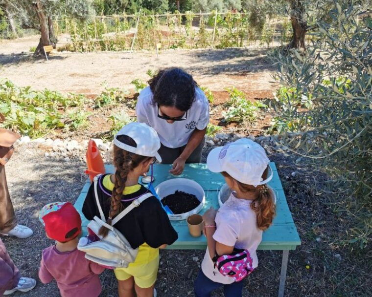 the-olive-oil-experience-lefkada-micro-farm-3