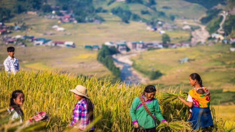 trekking-through-rice-terraced-fields