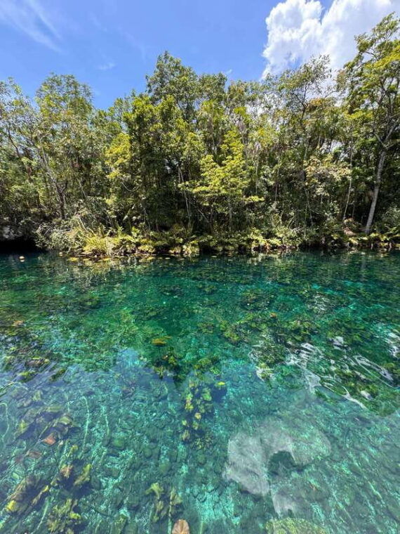 tulum-guided-tour-of-mayan-ruins-and-coral-reef-swim