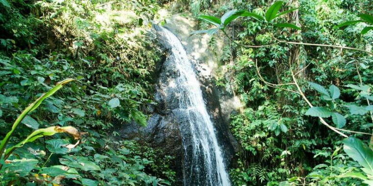 ubud-3-hour-walking-tour-with-lunch