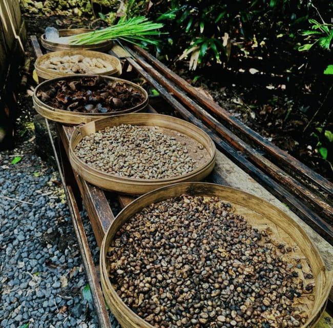 ubud-customised-private-day-trip-with-personal-driver