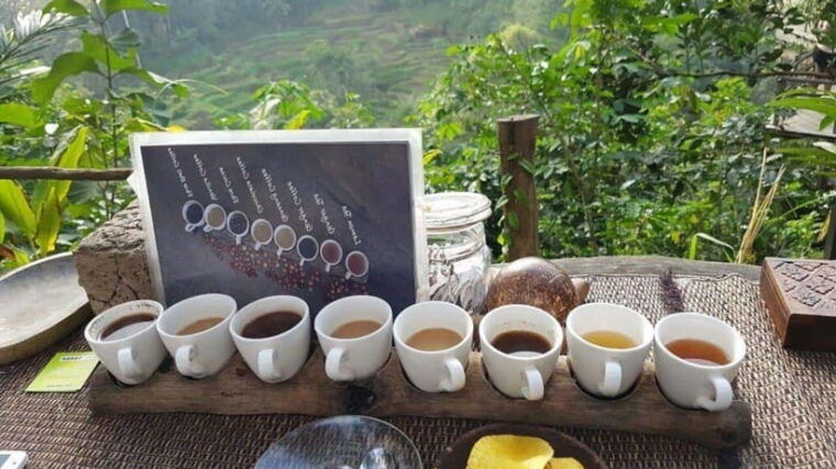 ubud-customized-itinerary-tours-with-knowledge-driver
