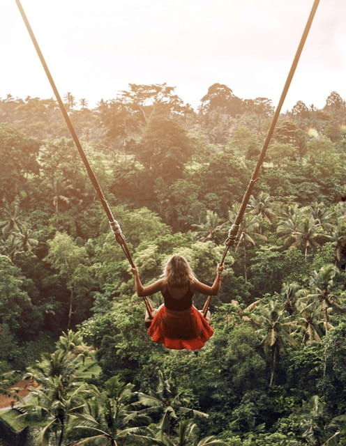 ubud-highlight-nature-wildlife-swing-waterfall