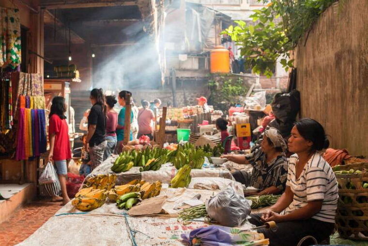ubud-monkey-forest-and-rice-terrace-private-tour