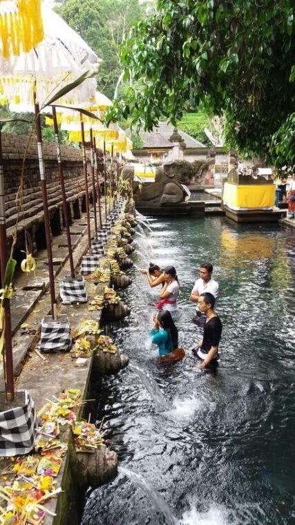 ubud-one-day-private-tour-with-driver-guide
