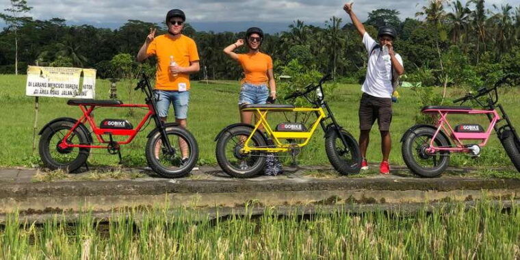 ubud-rice-terraces-villages-half-day-fat-tire-e-bike-tour